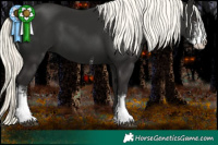 Horse Color:Liver Chestnut Mushroom Sabino 