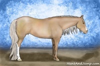 Horse Color:Silver Black Pearl