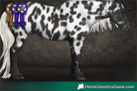 Horse Color:Liver Chestnut Mushroom Near Leopard