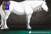 Horse Color:Liver Chestnut Mushroom Appaloosa 