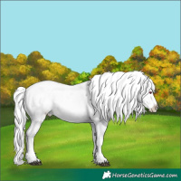 Horse Color:Silver Black Chinchilla Pearl Frame Appaloosa