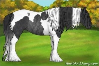 Horse Color:Black Tobiano Rabicano 