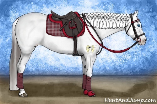 Horse Color:Liver Chestnut Frame 