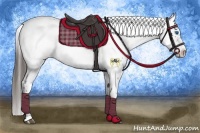 Horse Color:Liver Chestnut Frame