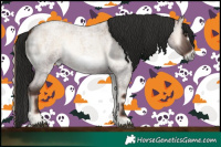 Horse Color:Liver Red Dun Roan Onyx Frame Rabicano 