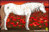 Horse Color:White Spotted Sable Champagne Pearl Sabino Appaloosa 