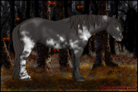 Horse Color:White Spotted Liver Chestnut Frame