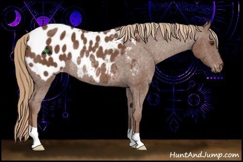 Horse Color:Chestnut Blanket Rabicano