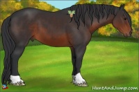 Horse Color:Brown 