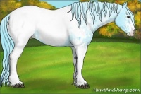 Horse Color:Watercolor White Spotted Liver Chestnut Sabino Snowcap
