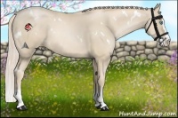 Horse Color:White Spotted Palomino Pearl Splash Rabicano
