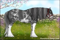 Horse Color:White Spotted Blue Roan Splash Frame Varnish
