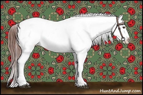 Horse Color:Bay Dun Appaloosa 