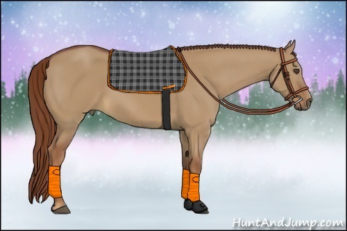 Horse Color:Red Dun 