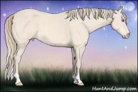 Horse Color:Perlino 