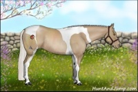 Horse Color:Silver Black Pearl Tobiano Rabicano