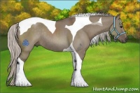 Horse Color:Silver Grullo Tobiano Rabicano