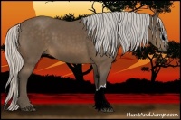 Horse Color:Silver Buckskin 