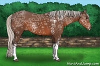 Horse Color:White Spotted Silver Brown Ice Sabino 