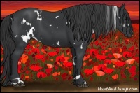 Horse Color:White Spotted Black 