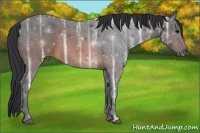 Horse Color:Brown Ice 