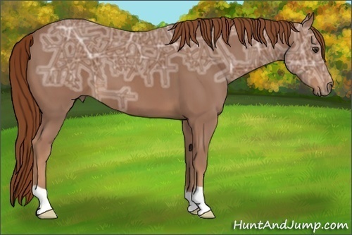 Horse Color:Chestnut Ice 