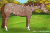 Horse Color:Chestnut Ice 
