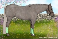 Horse Color:Silver Blue Roan 