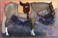Horse Color:Silver Bay Roan Rabicano