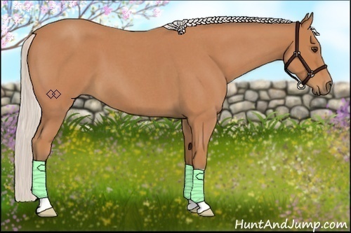 Horse Color:Silver Bay Roan