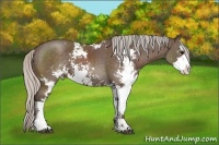 Horse Color:Silver Black Sabino 