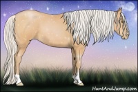 Horse Color:Silver Bay Pearl