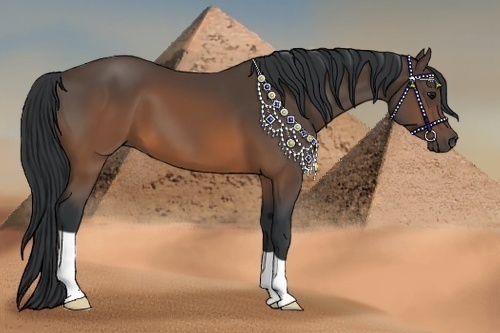 Horse Color:Brown 