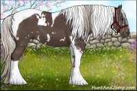Horse Color:White Spotted Silver Black Tobiano 