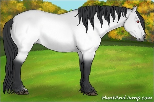 Horse Color:Brown Chinchilla Dun