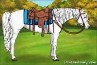 Horse Color:Silver Black Splash Appaloosa 