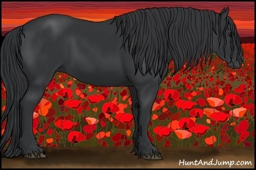 Horse Color:Black 