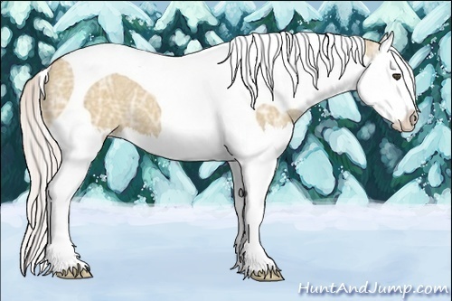 Horse Color:Silver Bay Ice Dun Splash Tobiano 