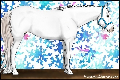 Horse Color:Palomino Dun Sabino Blanket Rabicano 