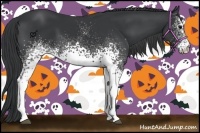 Horse Color:White Spotted Black