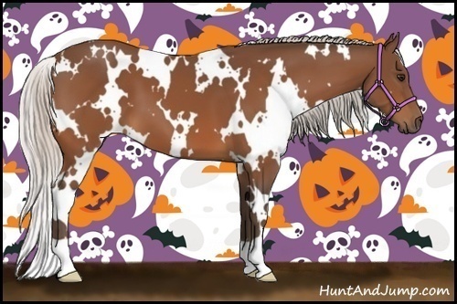 Horse Color:White Spotted Silver Bay