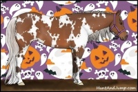 Horse Color:White Spotted Silver Bay 