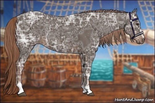 Horse Color:Liver Chestnut Ice Sabino 