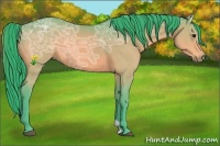 Horse Color:Watercolor Buckskin Ice 