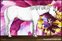 Horse Color:Gray Silver Classic Champagne Ice Dun Splash Frame 