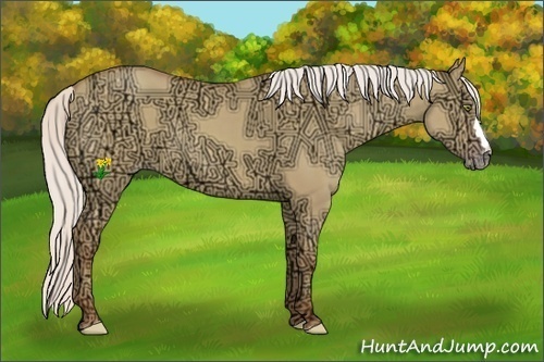 Horse Color:Silver Classic Champagne Ice Dun