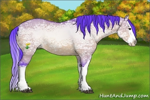 Horse Color:Watercolor Bay Ice Dun Splash 