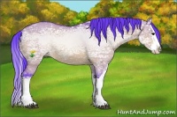 Horse Color:Watercolor Bay Ice Dun Splash