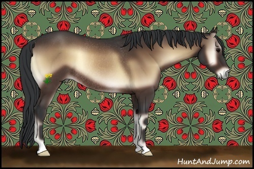 Horse Color:Bay Onyx Rabicano 