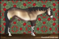 Horse Color:Bay Onyx Rabicano 